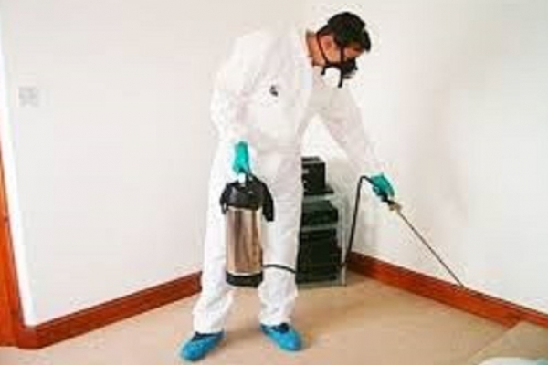 anti-bugs-giza-1B558FDB3-CB4C-C47E-8129-16164EB740EB.jpg
