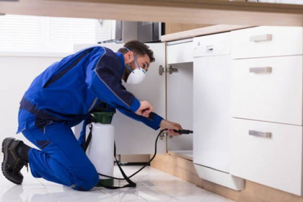 home-insecticide3A749F37-F9C9-ABDF-0307-BE3023AA45D1.jpg